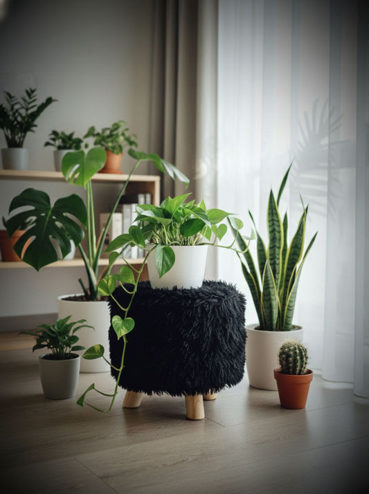 Puff negro peludo en ambiente con plantas, patas de madera natural